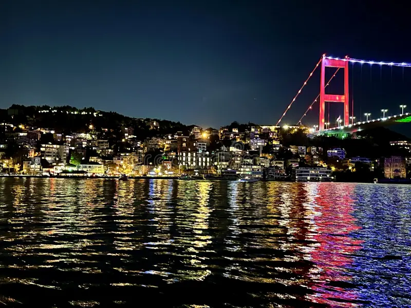 Step Into a Magical World on an Istanbul Bosphorus Cruise