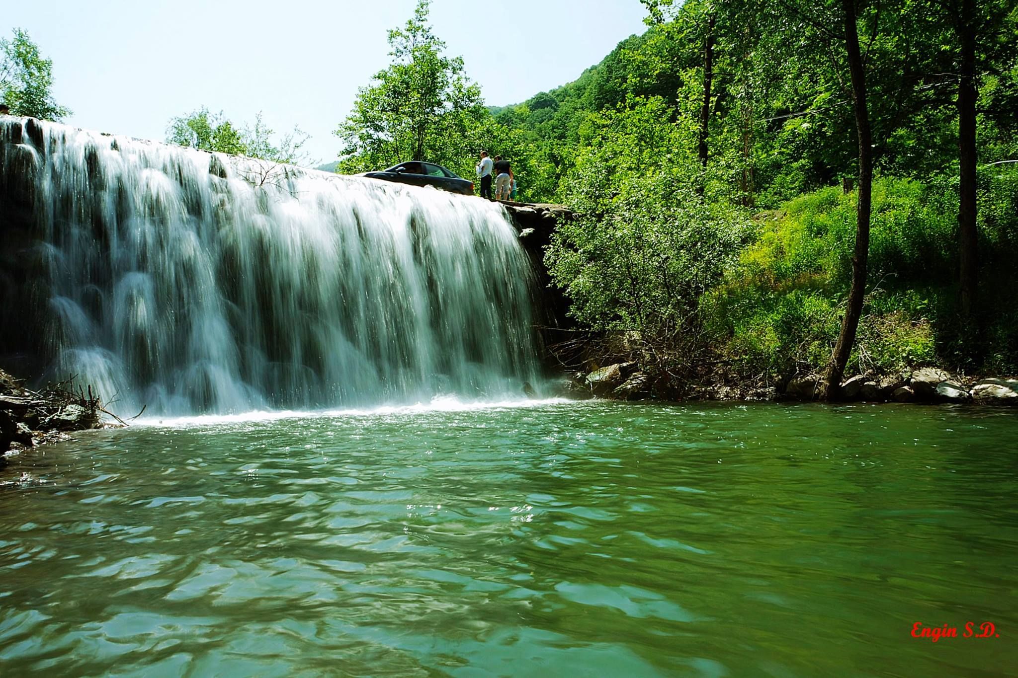  Sapanca Tour with Professional Guide & Hotel Pick Up + Bosphorus Dinner Cruise 