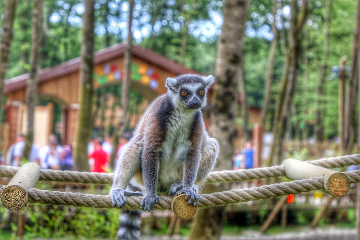  Sapanca Tour with Professional Guide & Hotel Pick Up + Bosphorus Dinner Cruise 